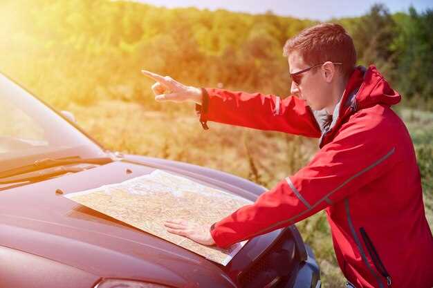 Общие сведения о сапуне раздатки