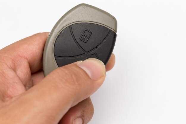 Особенности конструкции брелка Шкода Кодиак