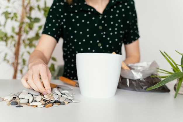 Сброс ошибок и перепрограммирование ЭБУ