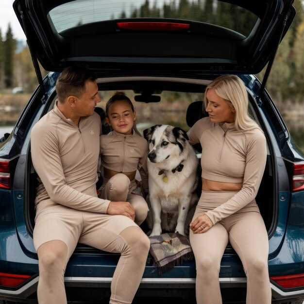 Рено Логан МС: доступность и функциональность