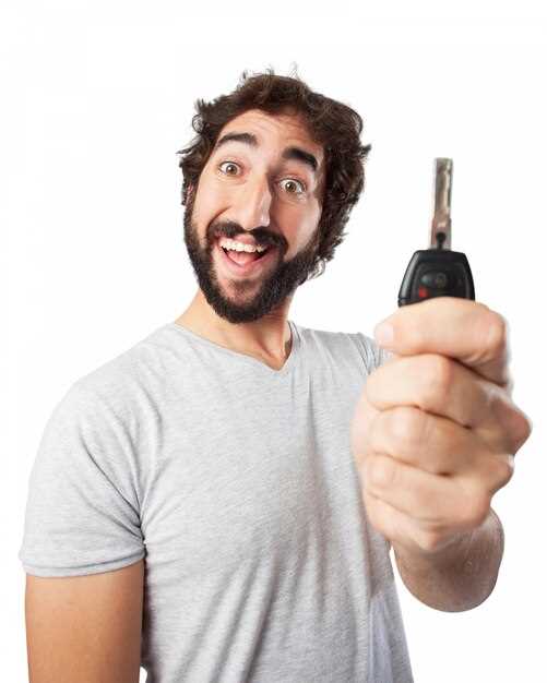 Способы устранения проблем с ключом Skoda Rapid