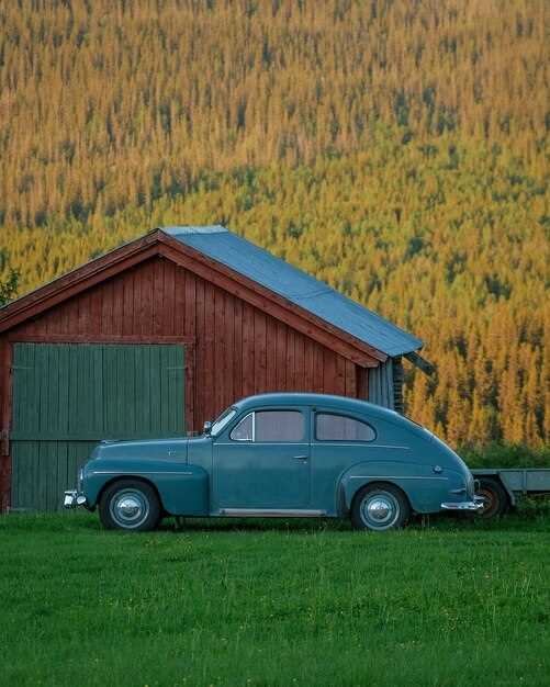 Модели и особенности Dacia